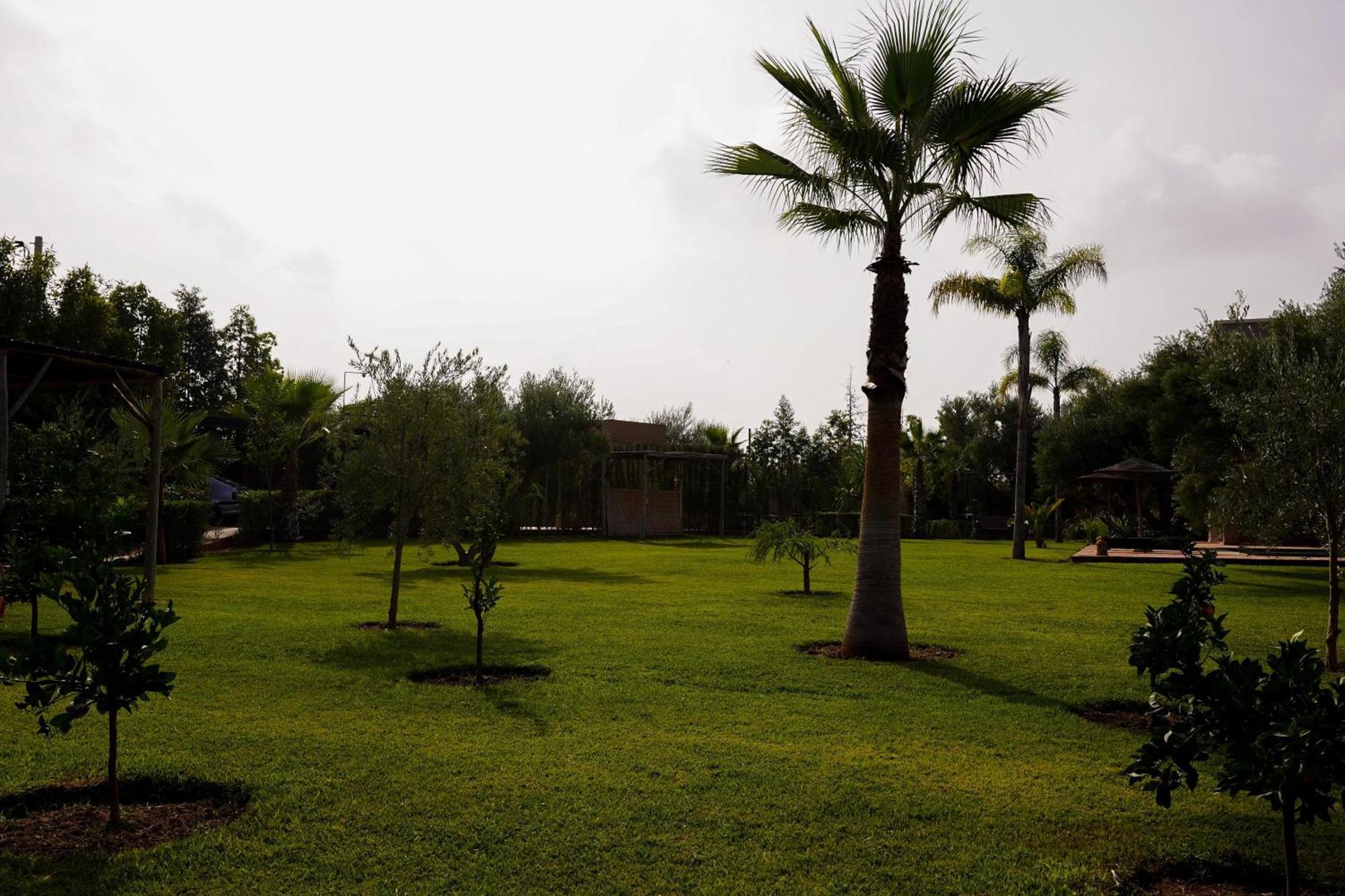 Hotel Dar Fatima Tamazouzt à Tamazouzte  Extérieur photo